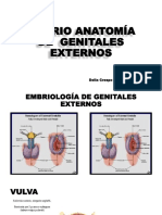 Diapos Clinica Ginecologica