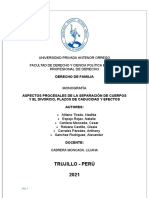 Monografía de Familia, Tema Separación de Cuerpos y Divorcio