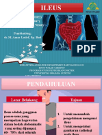 ILEUS Refrat