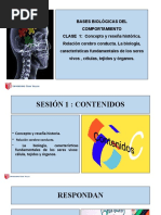 S1 Relación Cerebro Conducta