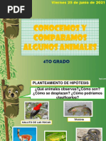 25 de Junio-Comparamos Los Animales Vertebrados