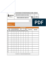 Formato de Inspección de Orden y Aseo