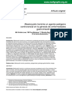 Blastocystis Hominis