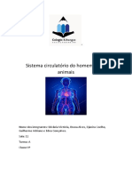 Sistema Circulatório Do Homem e Dos Animais !!!!!!!!!!!!!!!!!