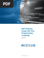 CI SAP Gateway Usage