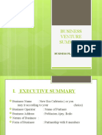 Business Venture Summary