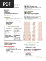 Pedia Gyne