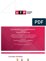 Estructura de Protección Del Sistema Nervioso Central II