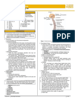 2023.neuroscience - Trans15.Neurologic Examination