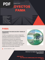 Proyectos Pama en La Region Moquegua Ilo Mpi