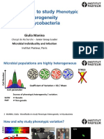 Microfluidics To Study Phenotypic Heterogeneity in Mycobacteria