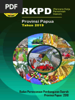 Provinsi Papua: Tahun 2019