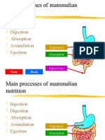 Ingestion Digestion Absorption Assimilation Egestion: Next Back