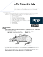 Rat Dissection Lab Updated