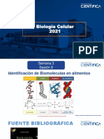 Biología Celular-Identificación de Biomoléculas en Alimentos-3-16