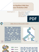 Dna Repair Dan Replikasi