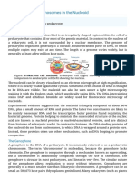 7.2A Bacterial Chromosomes in The Nucleoid - Biol