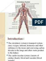 Unit 4 Circulatory System