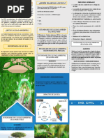 Estandar de Calidad Ambiental