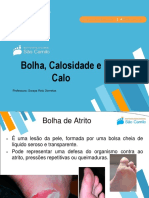 Aula - Bolhas, Calosidade e Calos