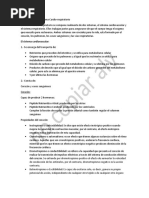 Mapa Conceptual Sistema Cardiorespiratorio