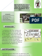 Proyecto de Leche Semi Intensivo