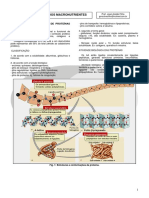 Macro Nutrient Es