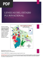 Lenguas Del Estado Plurinacional