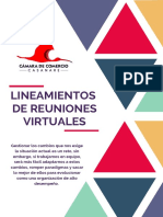 Lineamientos de Reuniones Virtuales CCC