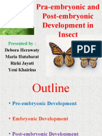 Pra-Embryonic and Post-Embryonic Development in Insect