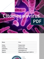 Citomegalovirus