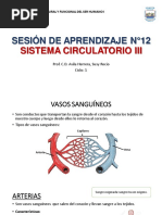 Clase N°12