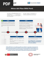 Infografia-Hitos-Bim - Final