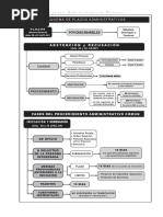 Esquema Plazos PAC - AP