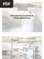 Cuadro Sinoptico Patologia de Ejecucion