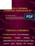 4 Sindromes Topograficos