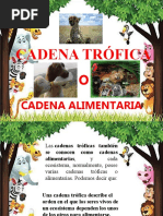 Cadena Trofica