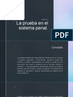 VIII. - La Prueba en El Sistema Penal