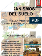 Exposicion de Suelos