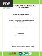 Práctica I. Solubilidad y Desnaturalización de Proteínas