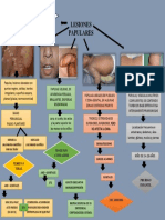 Flujograma Lesiones Papulares