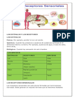 Los Estímulos y Los Receptores