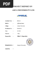 A Project Report On: Amul Industries PVT - LTD