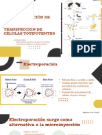 Electroporación y Transfeccion G3