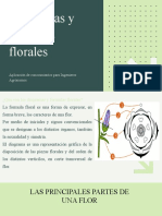 Diagramas y Formulas Florales Aplicación de Conocimientos para Ing Agronómos