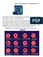 Las Diversas Ramas de Las Neurociencias y Su Aplicación en Historia