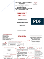 Esquema y Sintesis