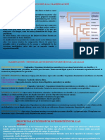 Clasificación y Conclusiones Protista