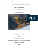 Tugas Biologi Ordo Falconiformes