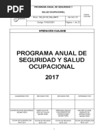 Programa Anual